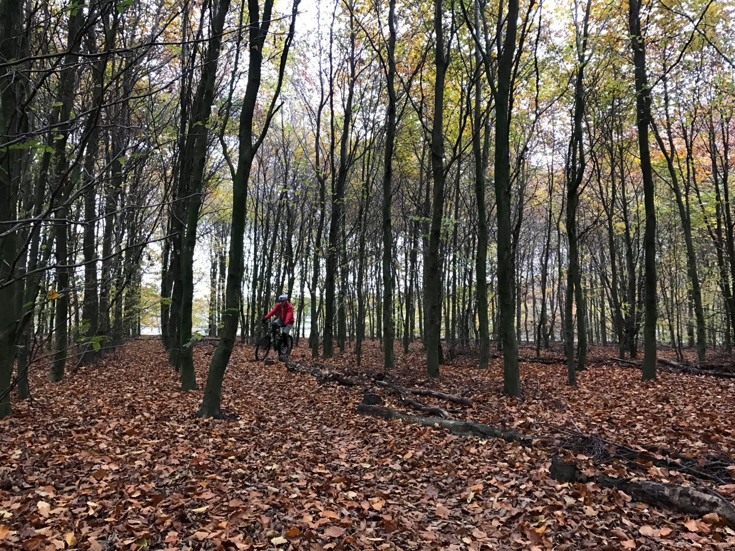 Drenthe 200 #1