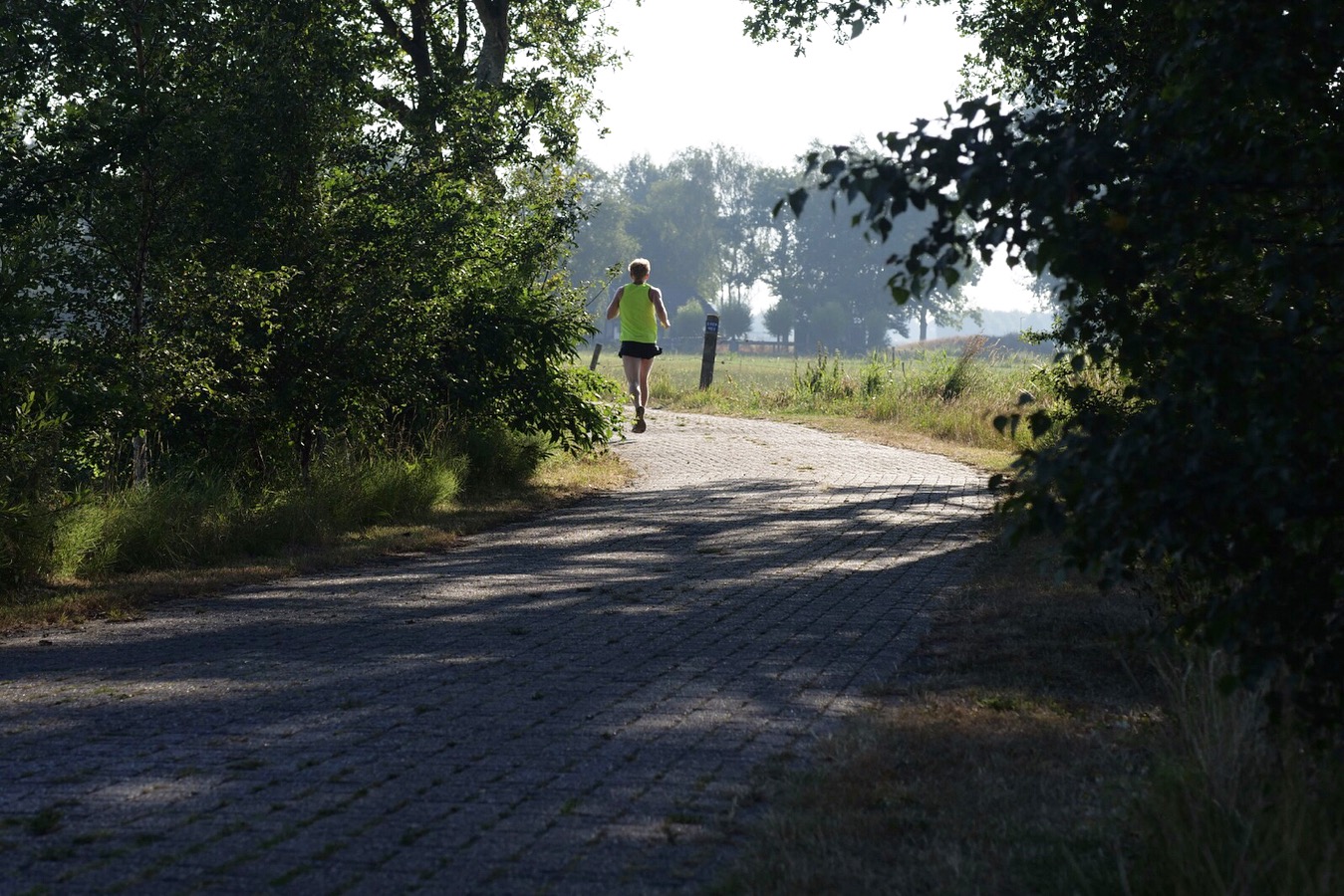 De voorbereidingen op de Veldslag om Norg